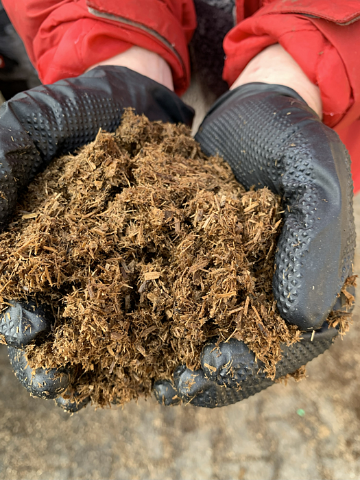 Gewaschene Festphase des Gärrest-Materials