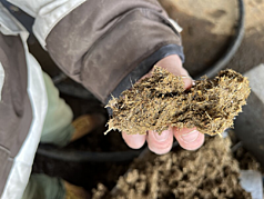 Torfersatz aus Gärresten
