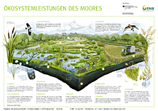 Ökosystemleistungen des Moores