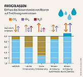 Entwässerte Moore setzen Treibhausgase frei